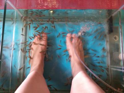 Kleine t&uuml;rkische Fische, die gern an F&uuml;&szlig;en knabbern